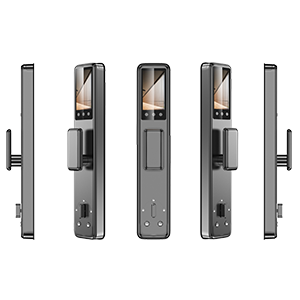 9001cc金沙以诚为本(中国)有限公司官网
