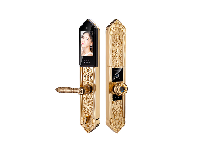 9001cc金沙以诚为本(中国)有限公司官网