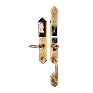 9001cc金沙以诚为本(中国)有限公司官网